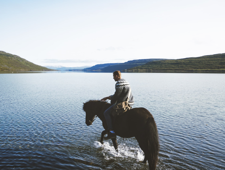 Person riding an Icelandic horse through shallow water